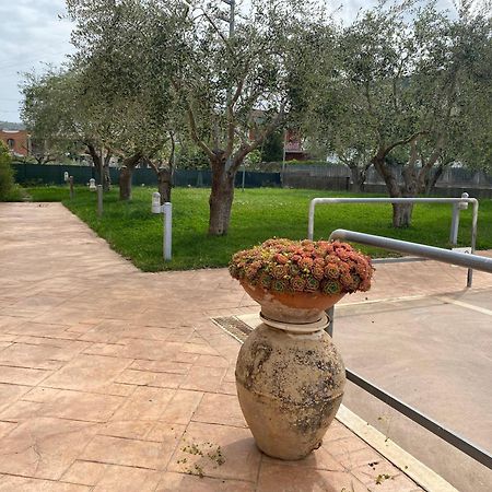 Miro' Agropoli Bed & Breakfast Dış mekan fotoğraf