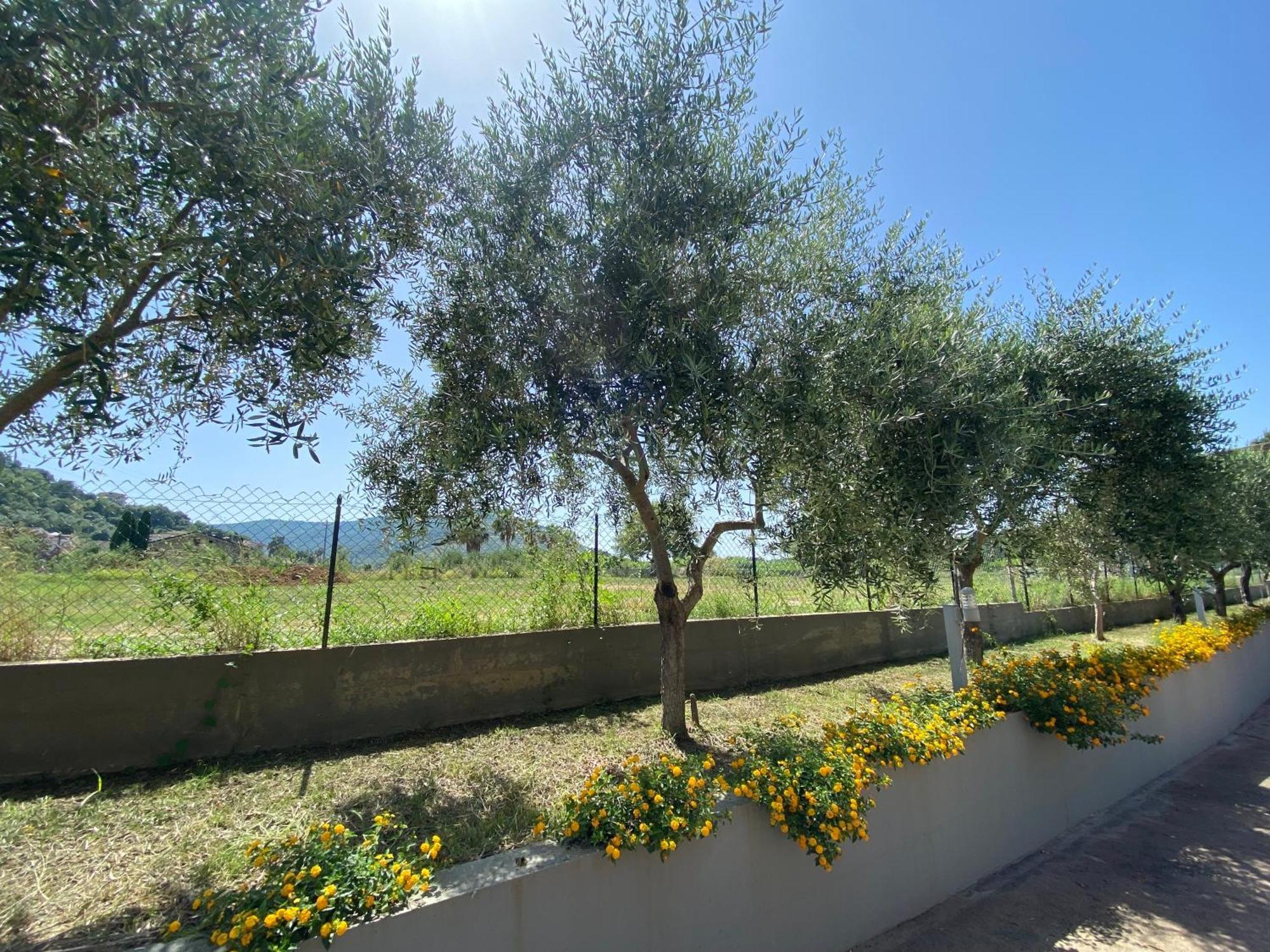 Miro' Agropoli Bed & Breakfast Dış mekan fotoğraf