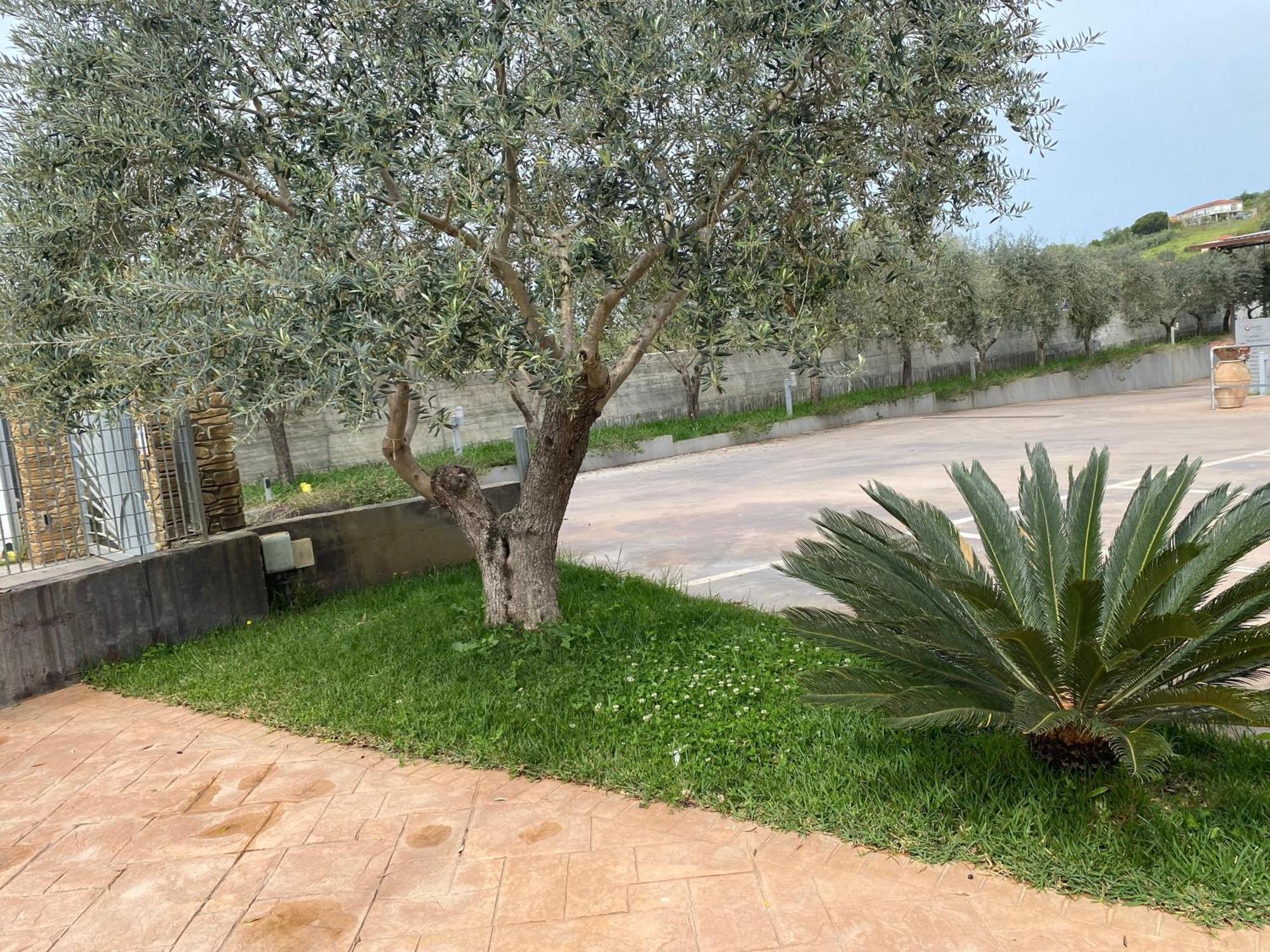 Miro' Agropoli Bed & Breakfast Dış mekan fotoğraf